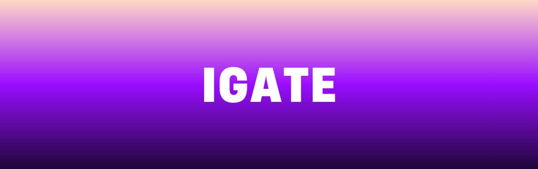 iGate -kasino-operaattori.